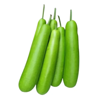 Louki (Bottle gourd)