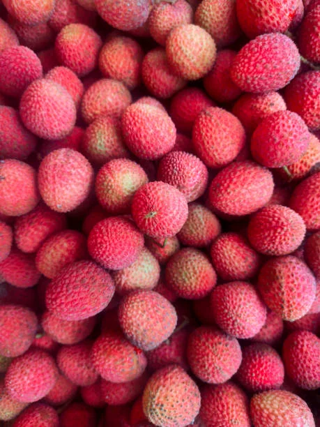 Lychee