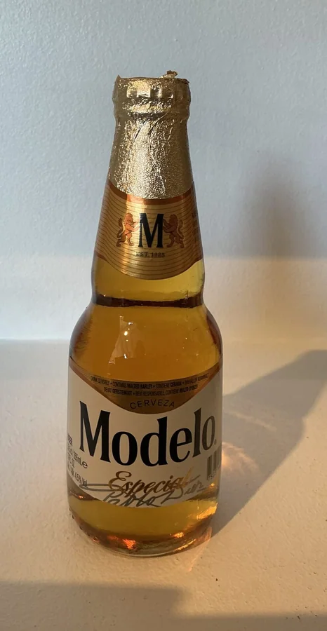Modelo Especial